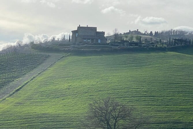 Tuscany Tour Siena - San Gimignano - Winery - Transfers and comfort: how the driver info can upgrade the day