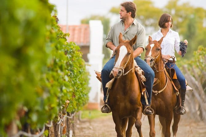 Tuscany Tour Siena - San Gimignano - Winery - Who should book this Tuscany Tour Siena–San Gimignano–Winery