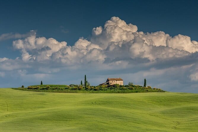 Tuscany Tour Siena - San Gimignano - Winery - Chianti Road (Strada Statale 222): winery tasting with food you can actually taste