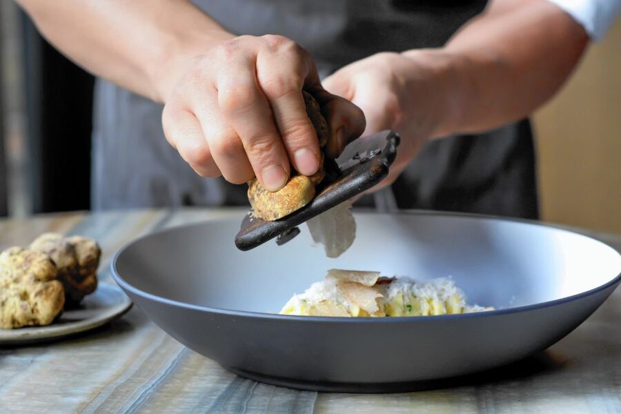 Tuscany: Truffle Hunting and Meal at a Winery - Oak forest truffle hunting: what you’ll actually do