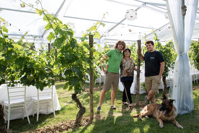Tuscany Wine Tours in a family winery Podere Pellicciano - Key highlights you should know before you go