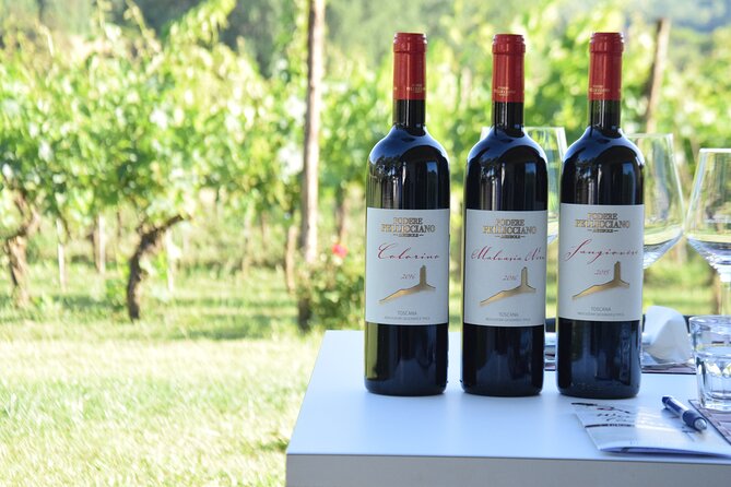 Tuscany Wine Tours in a family winery Podere Pellicciano - Vineyard walk and olive groves: where the tour becomes hands-on