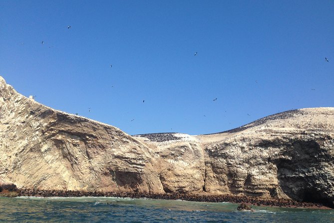 Ultimate Comfort: Lima to Huacachina, Ballestas and Vineyard - Timing and pacing: how you fit coast + dunes + Pisco in one day