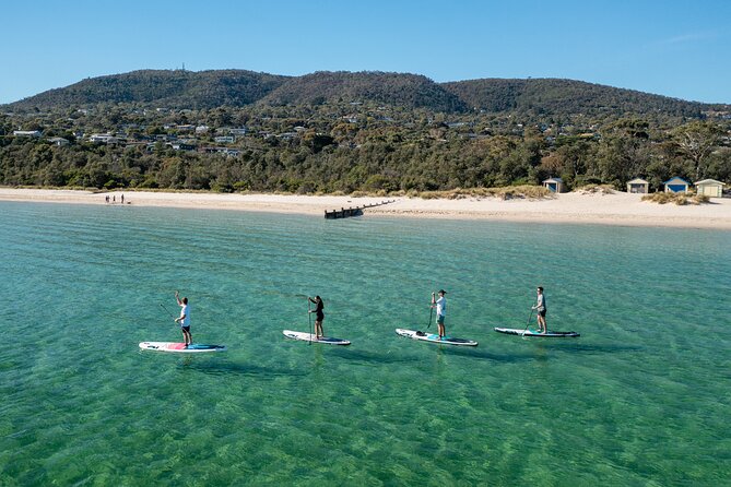 Ultimate Peninsula Adventure: Stand Up Paddle, Hot Springs, Hike, Lunch & Winery - Key points to know before you go