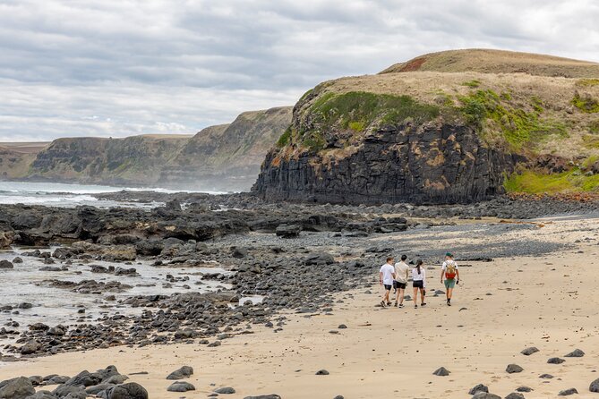 Ultimate Peninsula Adventure: Stand Up Paddle, Hot Springs, Hike, Lunch & Winery - The guided bushwalk to rock pools: effort, payoff, and smart footwear
