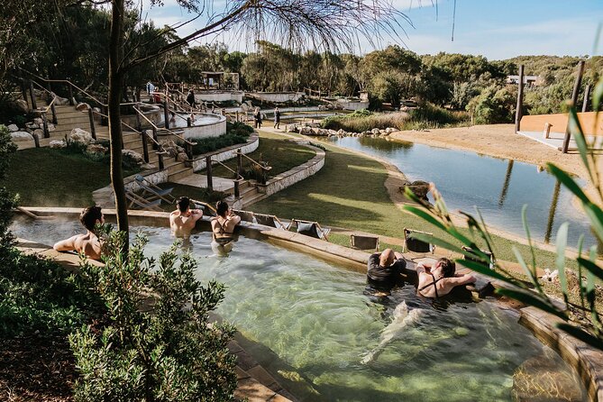 Ultimate Peninsula Adventure: Stand Up Paddle, Hot Springs, Hike, Lunch & Winery - Picnic viewpoint and Kerri Greens Winery: lunch, coffee/tea, and wine tasting together
