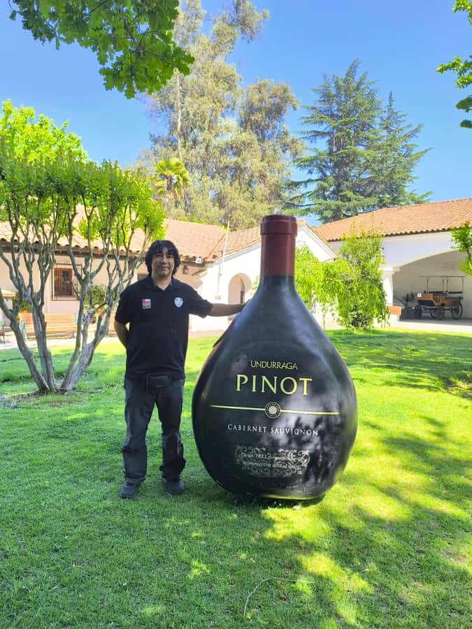 UNDURRAGA VINEYARD - At Undurraga: what the guided 1.5-hour visit actually gives you