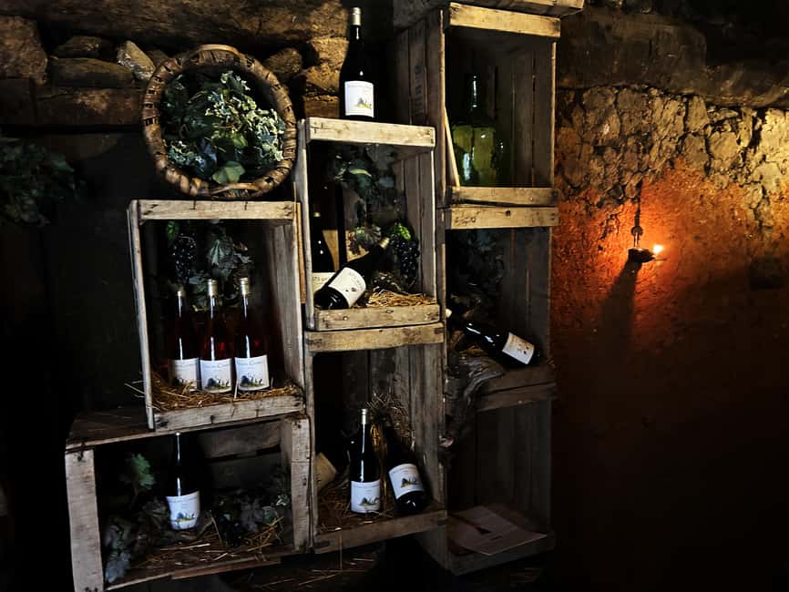 Unique experience in XVI winery with tasting near Salamanca - Key highlights worth your time
