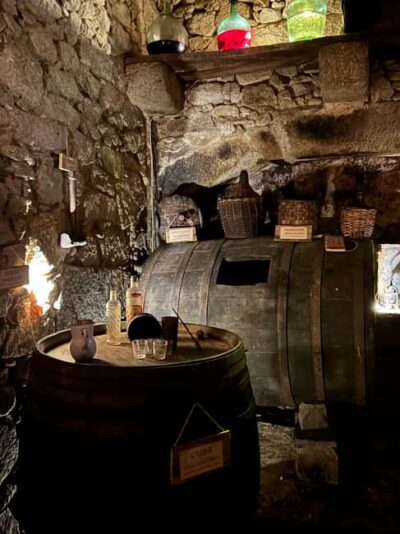 Unique experience in XVI winery with tasting near Salamanca - From village streets down to a 16th-century underground winery