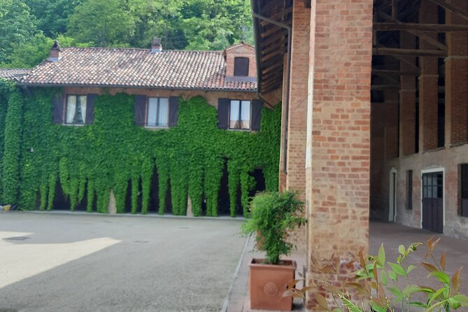 Unique wine tasting at Winery Marchesi Incisa della Rocchetta - The three-wine tasting: how to taste smarter with snacks