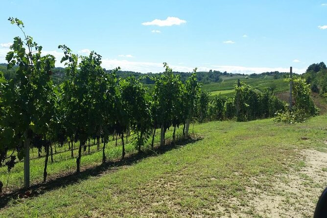 Unique wine tasting at Winery Marchesi Incisa della Rocchetta - Getting value from a $48.16 tasting (and knowing what you’re paying for)