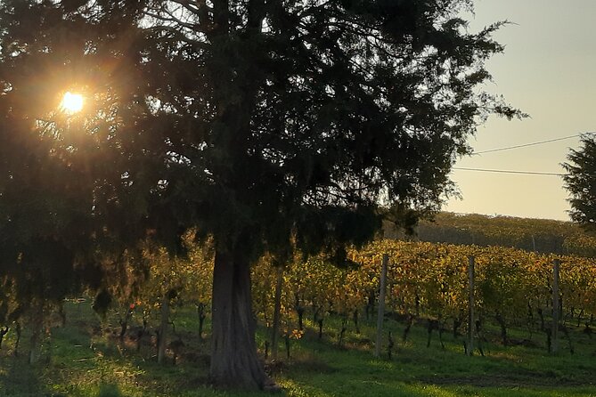 Unique wine tasting at Winery Marchesi Incisa della Rocchetta - What about staying or eating at the winery?