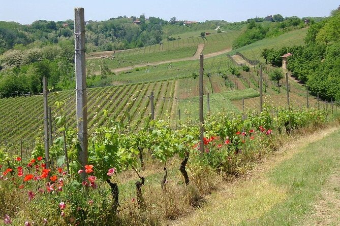 Unique wine tasting at Winery Marchesi Incisa della Rocchetta - Logistics you should know before you go