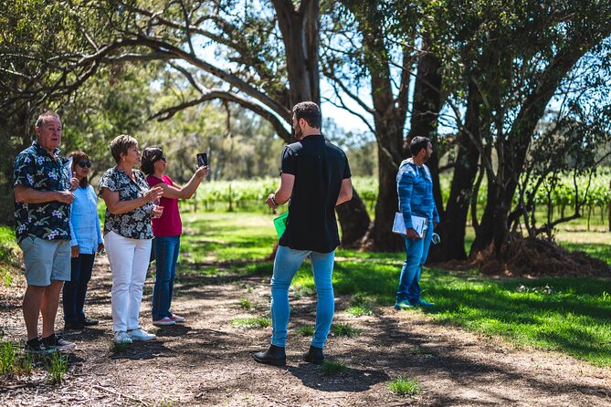 Upper Reach Winery: Swan Valley Winery and Vineyard Tour - Practical tips to enjoy it more (without overthinking it)