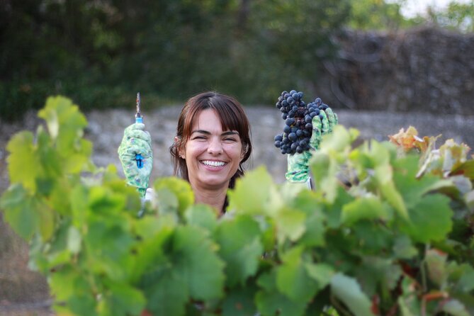 Urban winery tour, premium tasting flight & tapas - Yeast, tannins, port and sparkling: the mini science lesson you can actually use
