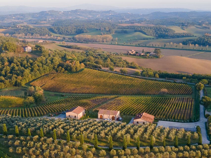 Val D'Orcia: Boutique Winery Tour and Wine Tasting - Quick practical tips before you go