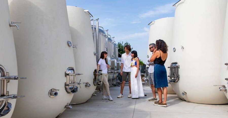 Valdobbiadene:Prosecco tasting,appetizers,winery & vineyard - Key Highlights You’ll Actually Notice