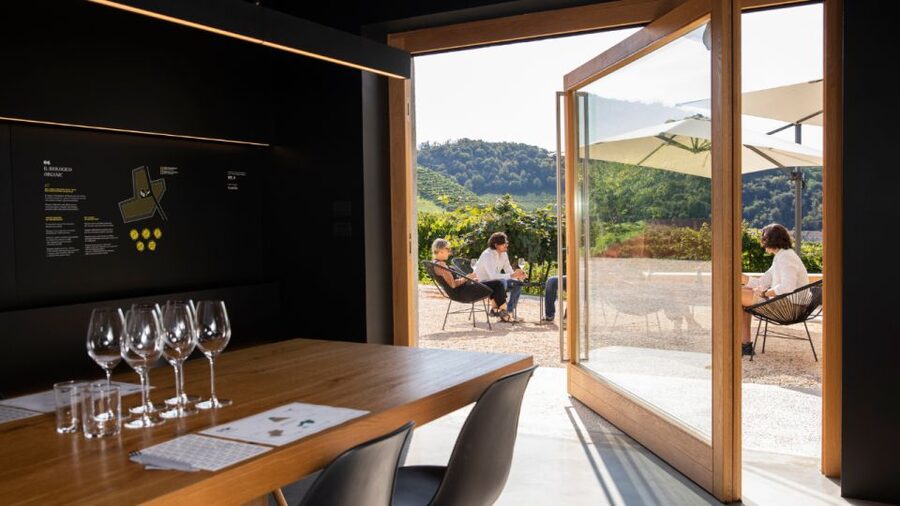 Valdobbiadene:Prosecco tasting,appetizers,winery & vineyard - Getting Oriented in Valdobbiadene’s Cartizze Area