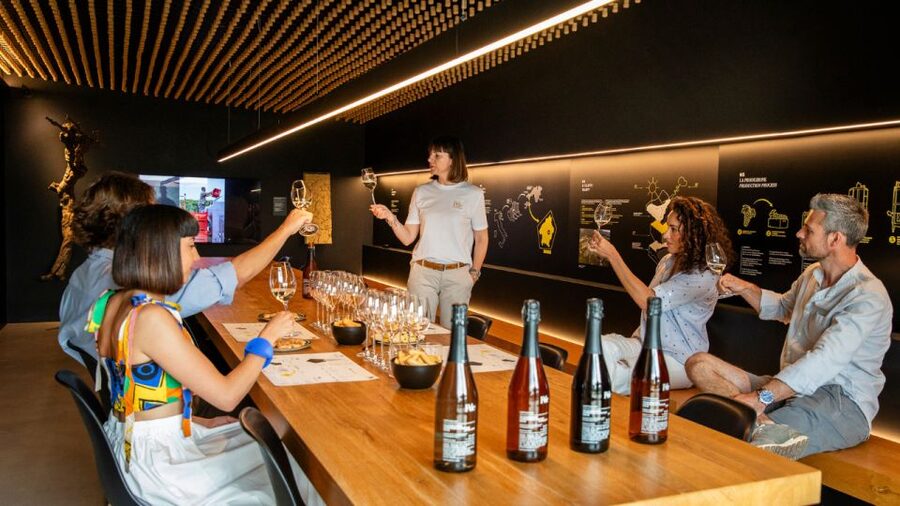 Valdobbiadene:Prosecco tasting,appetizers,winery & vineyard - Inside the Winery: How the Vinification Is Carried Out