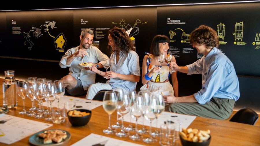 Valdobbiadene:Prosecco tasting,appetizers,winery & vineyard - Should You Book PDC Cartizze’s Cartizze DOCG Tasting?