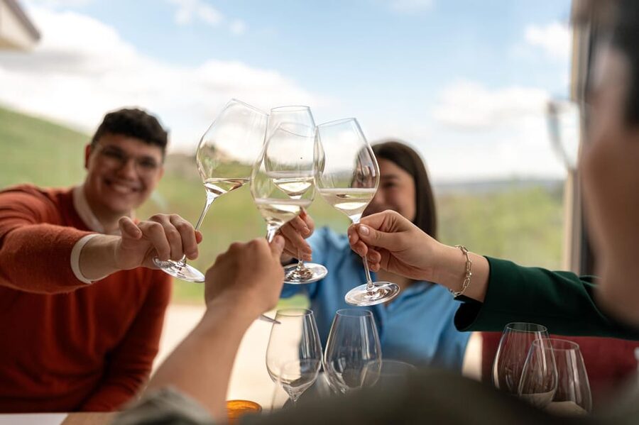 Valdobbiadene: Prosecco tasting with winery & vineyard tour - Key things to know before you go