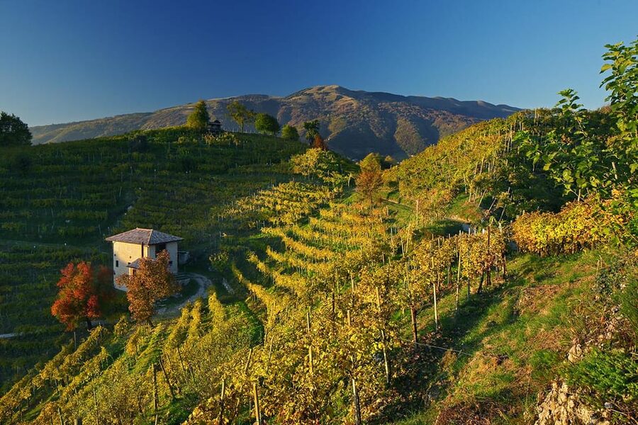Valdobbiadene: Prosecco tasting with winery & vineyard tour - The panoramic tasting room: 7 Adami wines in a smart order