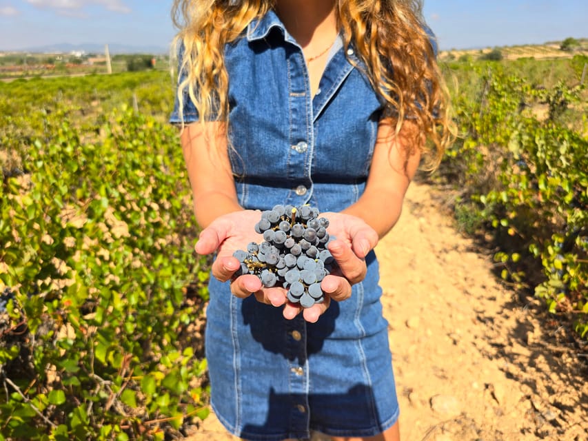 Valencia: Utiel-Requena Cave & Winery Day Trip with Tasting - Key moments you’ll remember
