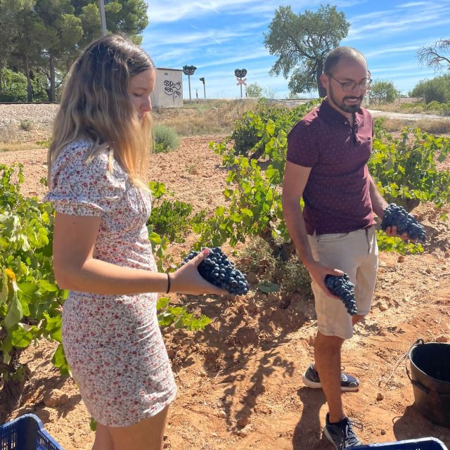 Valencia: Utiel-Requena Cave & Winery Day Trip with Tasting - Requena: a quick taste of the town before the wine