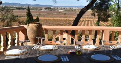 Valencia: Utiel-Requena Cave & Winery Day Trip with Tasting - Getting there and back without stress (and with one reality check)