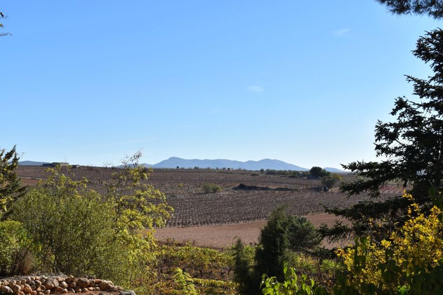 Valencia: Utiel-Requena Cave & Winery Day Trip with Tasting - Vera de Estenas in Utiel: family estate tasting with vineyard calm