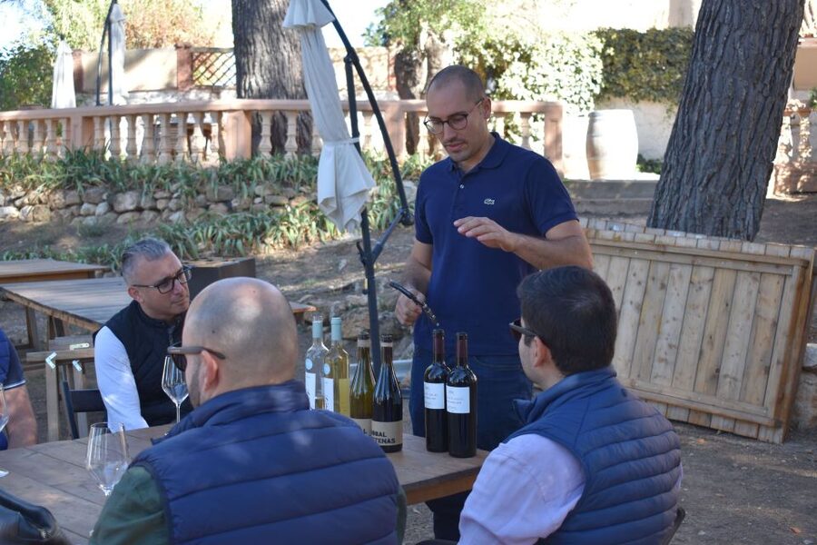 Valencia: Utiel-Requena Cave & Winery Day Trip with Tasting - Food pairing and snack reality: tasty, but plan around it