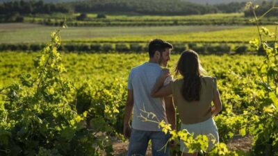 Valencia: Vineyard Tour, Local Wine, Cava Tasting & Snacks - Estates, Grapes, and Cava: The Varieties You’ll Learn Along the Way