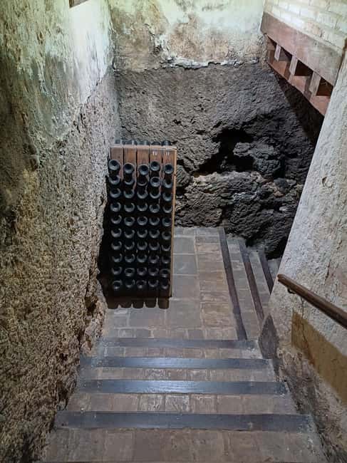 Valencia: Vineyard Tour, Local Wine, Cava Tasting & Snacks - Guides and Conversation: Why This Feels Personal