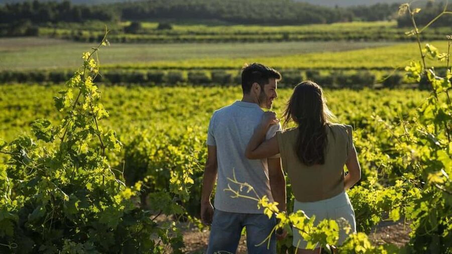 Valencia: Vineyard Tour, Local Wine, Cava Tasting & Snacks - Estates, Grapes, and Cava: The Varieties You’ll Learn Along the Way