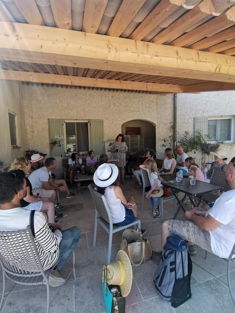Valensole : Visit of a winery and lavender farm - Key points before you go
