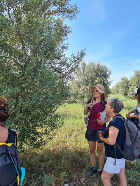 Valensole : Visit of a winery and lavender farm - The estate’s organic and sustainable farming story, with a surprise farmer stop
