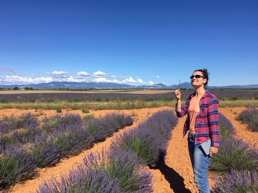 Valensole : Visit of a winery and lavender farm - Price and value: why $38 feels fair for what you get