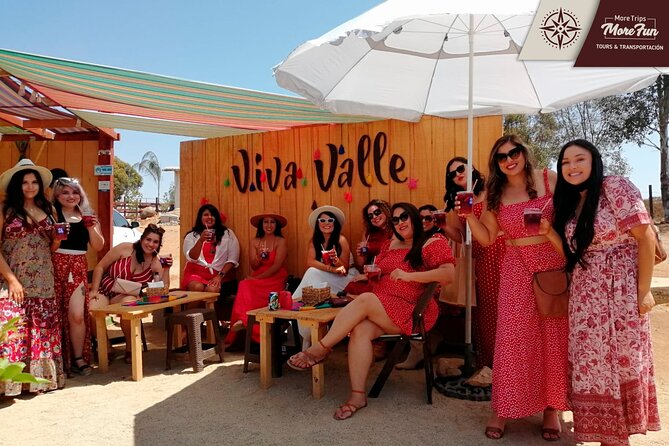 Valle de Guadalupe winery and brewery tours - Food in the day: wine breaks, lunch decisions, and TJ birria tacos