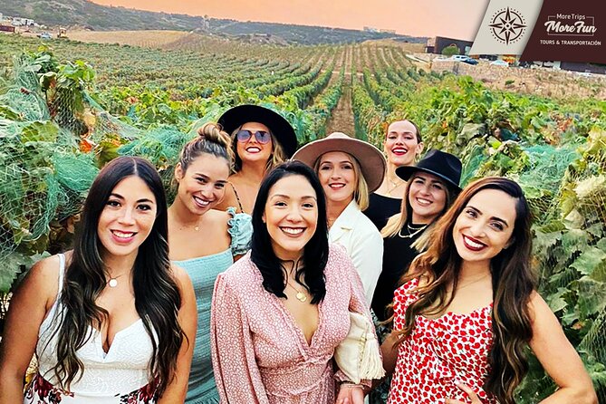 Valle de Guadalupe winery and brewery tours - Price and value: why $450 per group can make sense