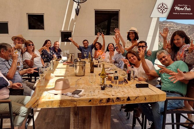 Valle de Guadalupe winery and brewery tours - Who this tour is best for (and who might want a different option)