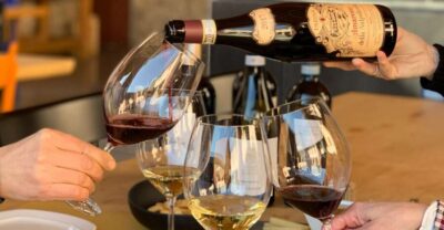 Valpolicella: 1.5-Hour Guided Winery Tour with Wine Tasting - Entering a high-end winery estate (and why the cellar visit matters)