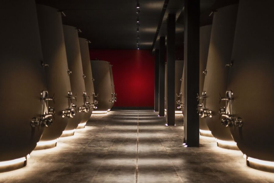 Valpolicella: 1.5-Hour Guided Winery Tour with Wine Tasting - The tasting experience: 6 wines, bites, and sommelier-led guidance