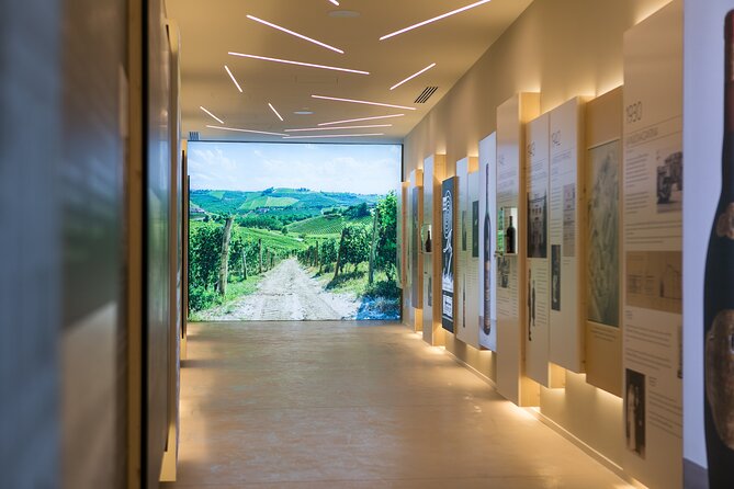 Valpolicella Wine Experience at Montresor winery - Quick hits before you go