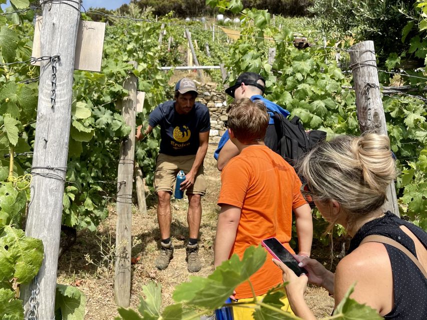 Vernazza: Panoramic Vineyard Trekking Tour w/ Wine Tasting - Key highlights to know before you go