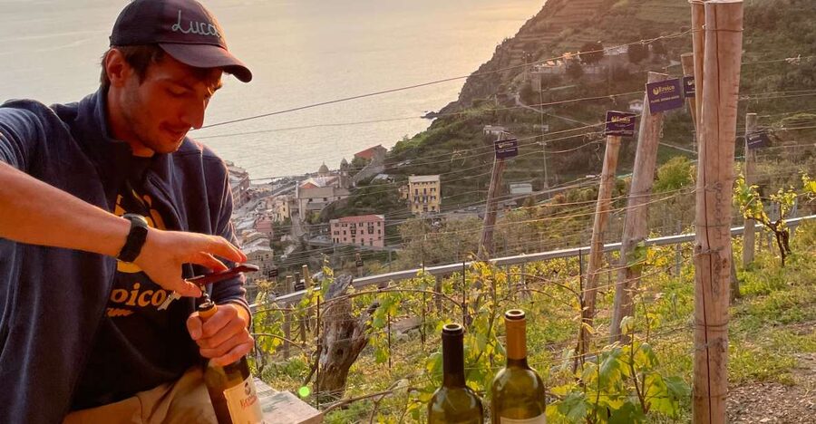 Vernazza: Panoramic Vineyard Trekking Tour w/ Wine Tasting - The uphill trail: what it feels like and how to handle it