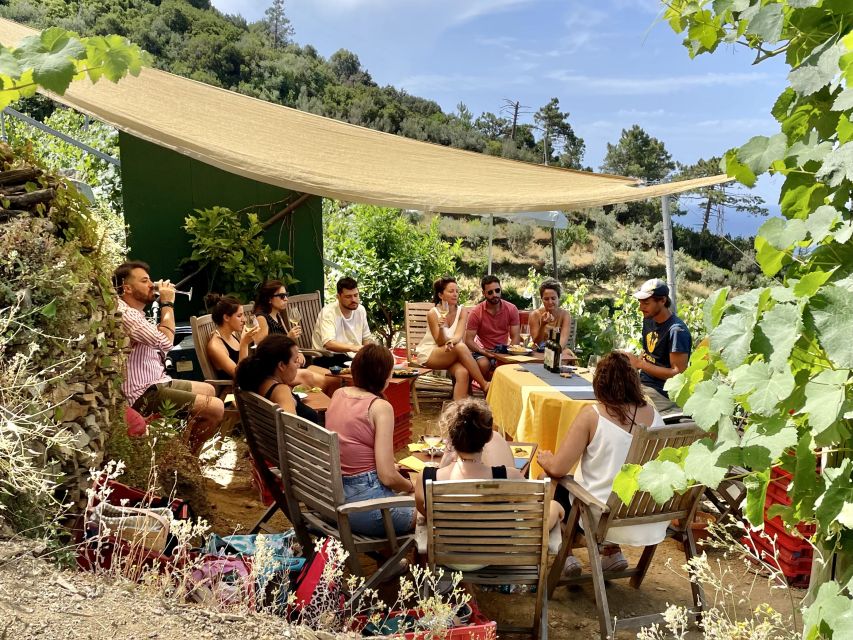 Vernazza: Panoramic Vineyard Trekking Tour w/ Wine Tasting - Price and value: what $77 includes in a place where everything costs more