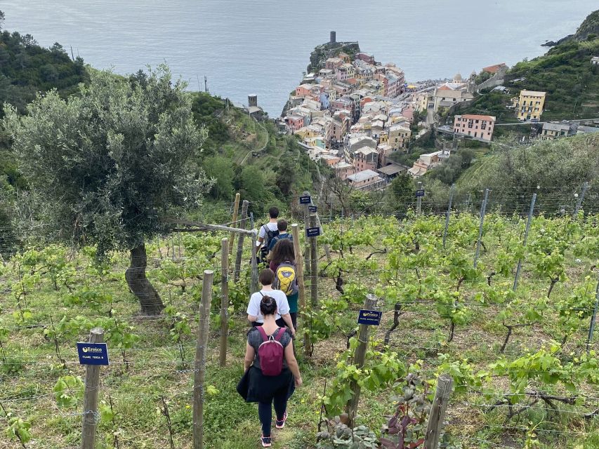 Vernazza: Panoramic Vineyard Trekking Tour w/ Wine Tasting - Small-group pace: why it feels better than bigger Cinque Terre tours