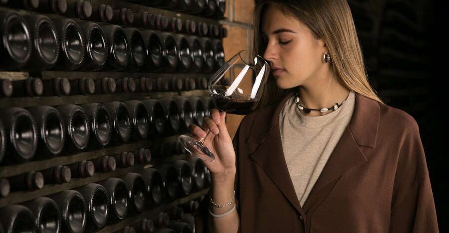 Verona: Montresor Winery Visit with Wine Tasting and Snacks - Choosing your tasting: Valpolicella reds vs Lake Garda whites
