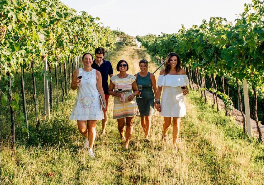 Verona: Vineyard and Winery Tour with Wine Tasting - The tasting on the terrace: Valpolicella, Ripasso, and Amarone with local antipasti