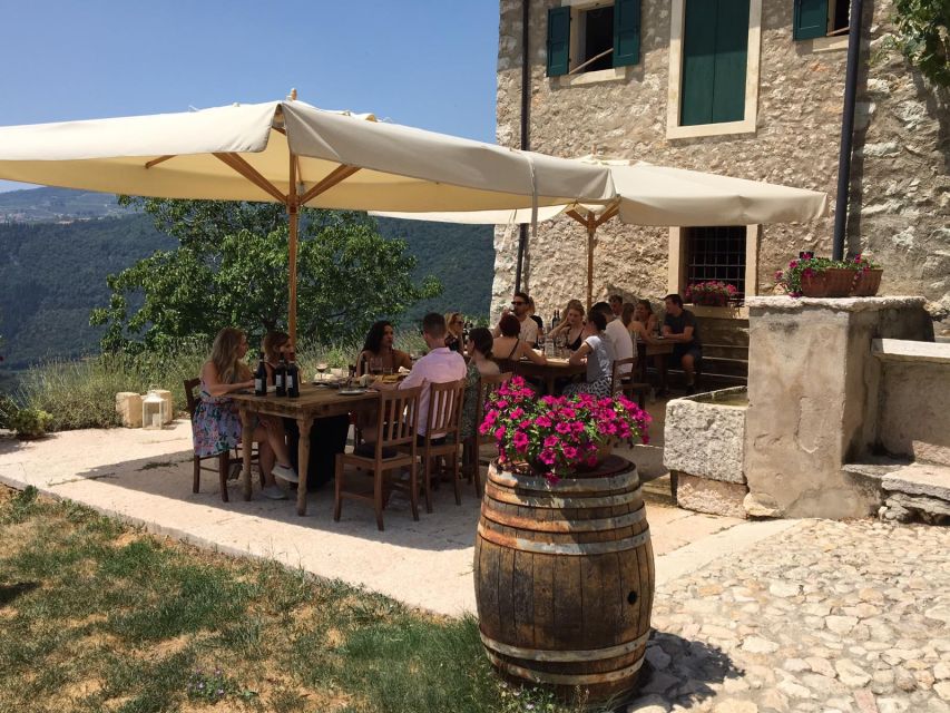 Verona: Vineyard and Winery Tour with Wine Tasting - The vineyard walk: how you get oriented before tasting